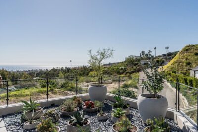 WhatsApp Image 2026-03-19 at 4.38.54 AM (1)